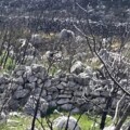Τετραήμερο εργαστήριο βιωματικής εκμάθησης στον Καραβά, με θέμα: «Λάξευση και χτίσιμο πέτρας με τον παραδοσιακό τρόπο»